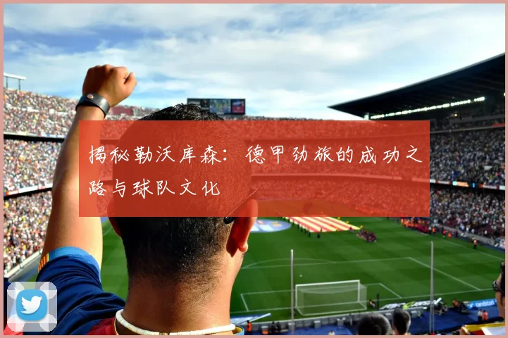 揭秘勒沃库森:德甲劲旅的成功之路与球队文化